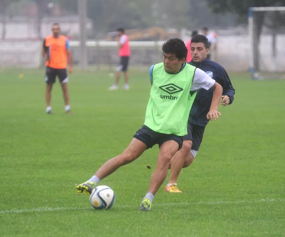 “Pulguita” no se desespera