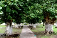 La inseguridad de Yerba Buena retumba en su Concejo