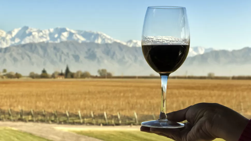 GRANDES VINOS. Los especialistas destacan la calidad de los vinos argentinos. FOTO TOMADA DE IMUJER,COM
