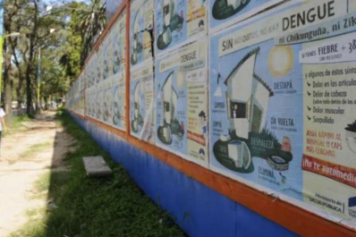 Confirman que en Tucumán hay más de 50 casos de dengue