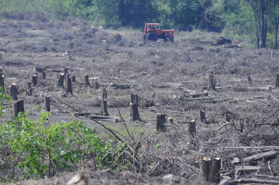 INQUIETANTE. La FAO reclama la recuperación de tierras degradadas. LA GACETA / FOTO DE ANALÍA JARAMILLO.