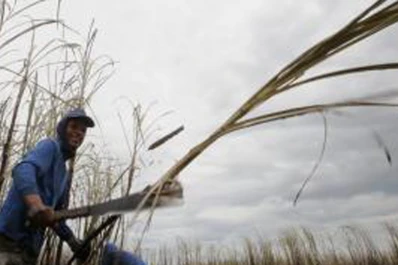 Las economías regionales muestran signos de mejoría