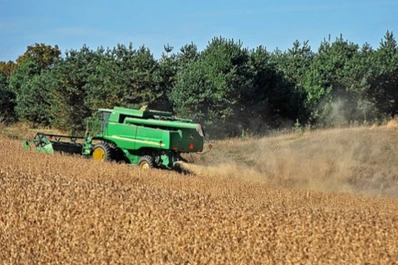 Se reduce el área de siembra de soja en el NOA y crece la del maíz