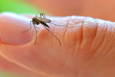 Ya son más de 20.000 los casos de dengue en el país