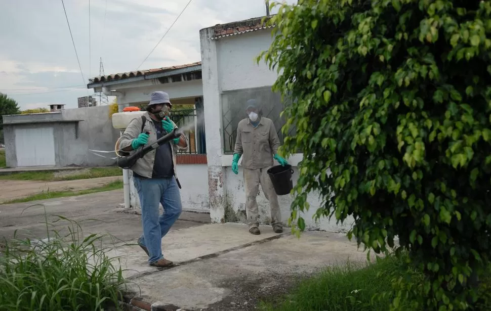 CAMPAÑA. Los municipios tucumanos encaran tareas de fumigación. la gaceta / foto de FOTO DE OSVALDO RIPOLL (archivo)