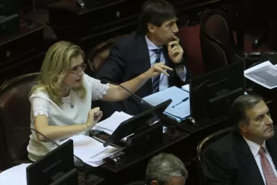 Silvia Elías de Pérez, en el Senado: hay que solucionar el cepo al crecimiento