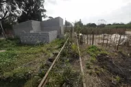 “Jaime es sólo un eslabón de la corrupción”, dijo Cano