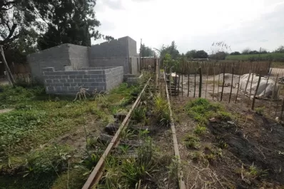 “Jaime es sólo un eslabón de la corrupción”, dijo Cano