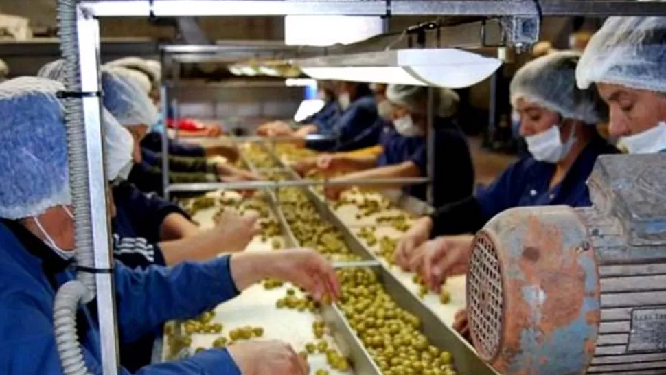 AJUSTE. Nucete buscaría desprenderse de 100 de sus 300 empleados. FOTO TOMADA DE MINUTOUNO.COM.AR 