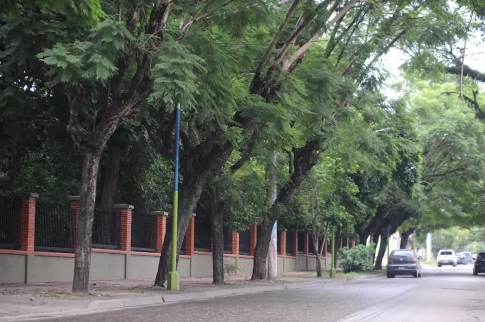  la gaceta / foto de diego aráoz