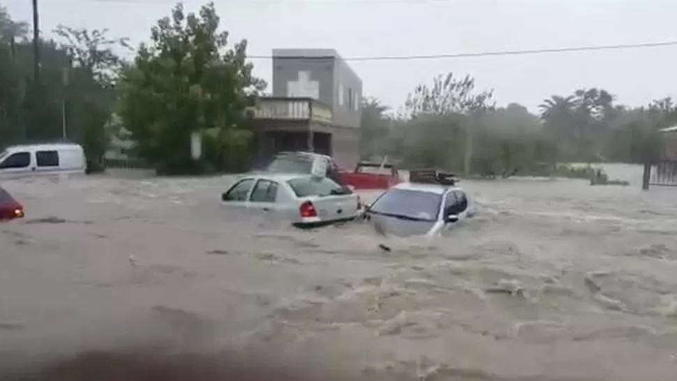 ENTRE RÍOS. El agua se lleva autos. FOTO TOMADA DE INFOBAE.COM