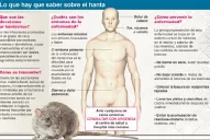 No se registraron casos de hantavirus en Tucumán, informó el Gobierno