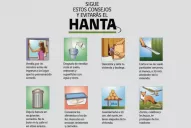 ¿Cómo se puede prevenir el hantavirus?