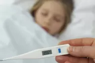 Estos son los síntomas que genera el hantavirus