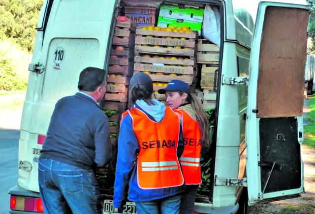 VERIFICACIÓN. Inspectores revisan el cargamento de un vehículo utilitario. 