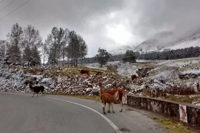Las bajas temperaturas cubrieron de nieve los cerros de Tafí del Valle