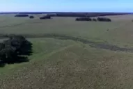 La Justicia uruguaya embargó un campo de Báez por presunto lavado de dinero