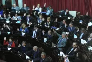 El Senado dio media sanción a la ley que frena los despidos