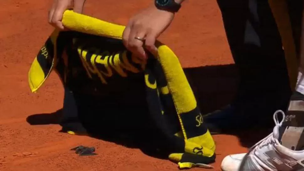 Video: para seguir jugando, Mayer tuvo que sacar un murciélago de la cancha