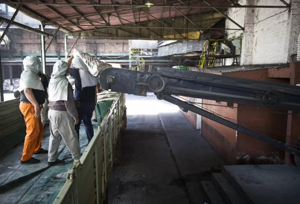 OPERARIOS. Trabajadores del ingenio La Florida cargan bolsas de azúcar de 50 kilos. la gaceta / FOTO DE JORGE OLMOS SGROSSO (archivo)