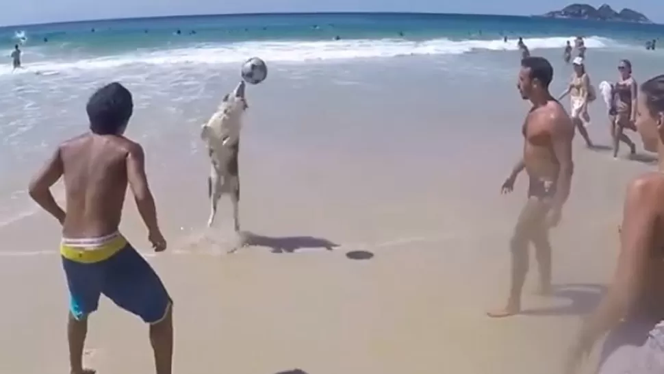 Uno más: el perro que participa de la ronda de fútbol en la playa