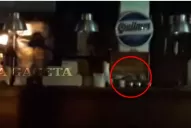 Una rata se paseó por la barra de un bar del centro tucumano