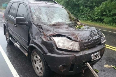 Un tronco cayó sobre el auto de un docente cuando circulaba por la ruta a los Valles
