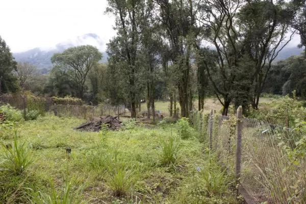 Desoyen medidas de protección ambiental en El Corte