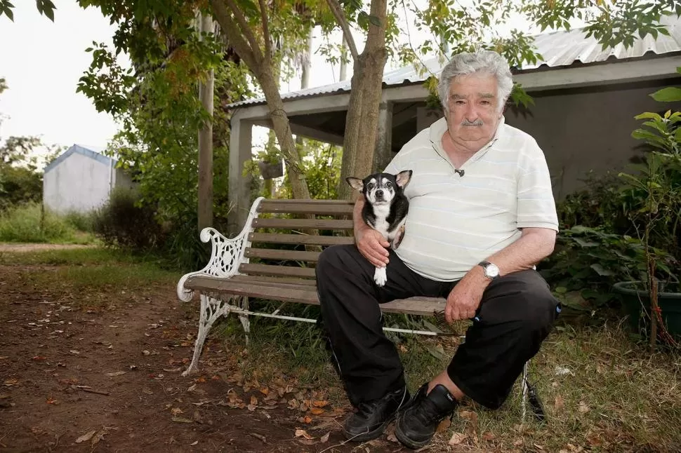 RELAJADO. En su casa de las afueras de Montevideo, el saliente presidente de Uruguay, José “Pepe” Mujica junto a su mascota “Manuela”. mqltv.com