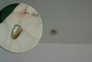 Una bala perdida perforó el techo de su casa, en Barrio Kennedy