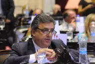 Negri justificó la postura de la UCR en la votación