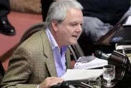 Pinedo mandó a Durán Barba a vivir con los wichis antes de hablar de hambre