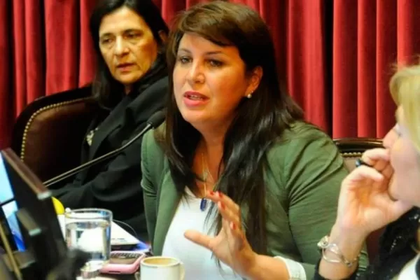 Una senadora K piropeó a Federico Pinedo en plena sesión