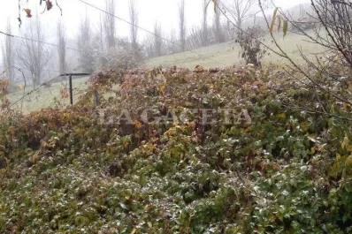 ¡Helado! El termómetro marcó 4 grados y cayó garrotillo en Tafí del Valle