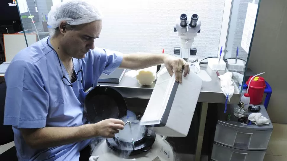 PROCEDIMIENTO. Un especialista trabaja con equipos especiales para congelas óvulos, FOTO ARCHIVO/ ANALÍA JARAMILLO.