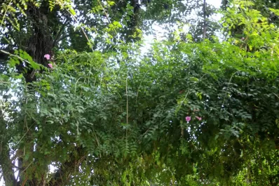 La noche que el “Santo” volvió a ser de Primera