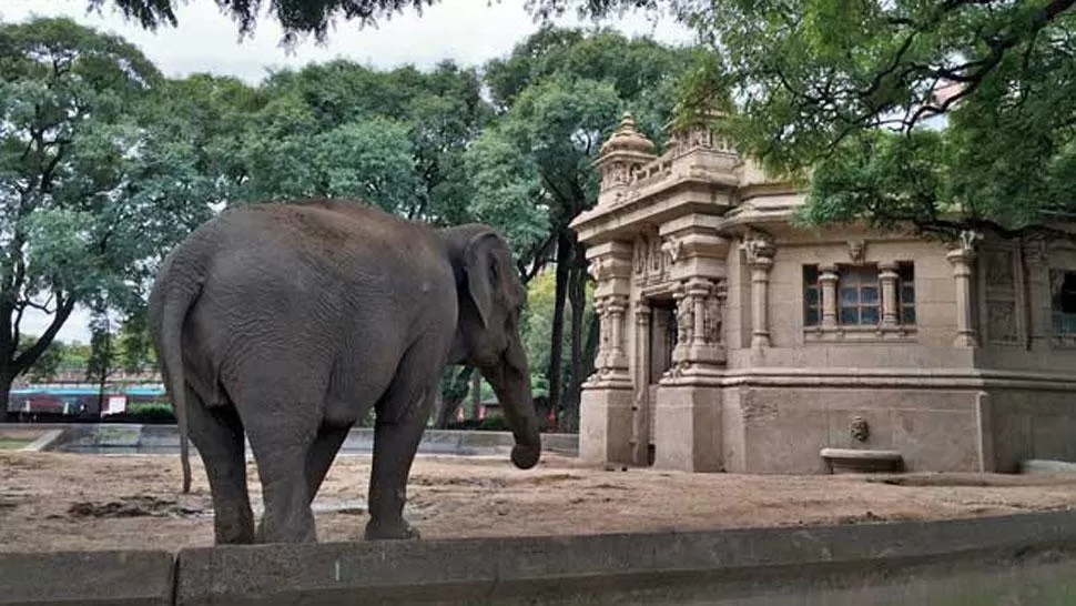 El Gobierno porteño cerró el zoológico de Buenos Aires; lo convertirá en un ecoparque