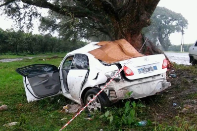 Un auto se cruzó de carril y se estrelló contra un árbol en la ruta 315