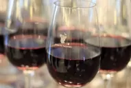 Fin de la polémica: el 9 de julio se brindará con vino tucumano