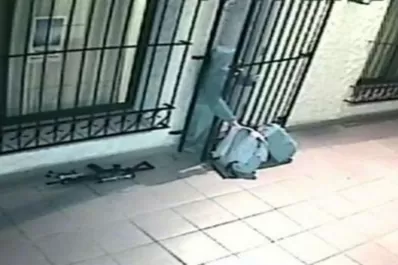 La profanación de los símbolos de la argentinidad está completa