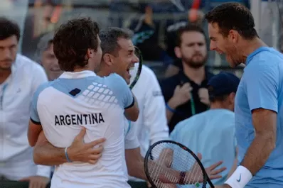 Del Potro: con el alma y el corazón parecíamos doblistas