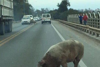 Esto pasa en la autopista que lleva al aeropuerto, en plena temporada turística