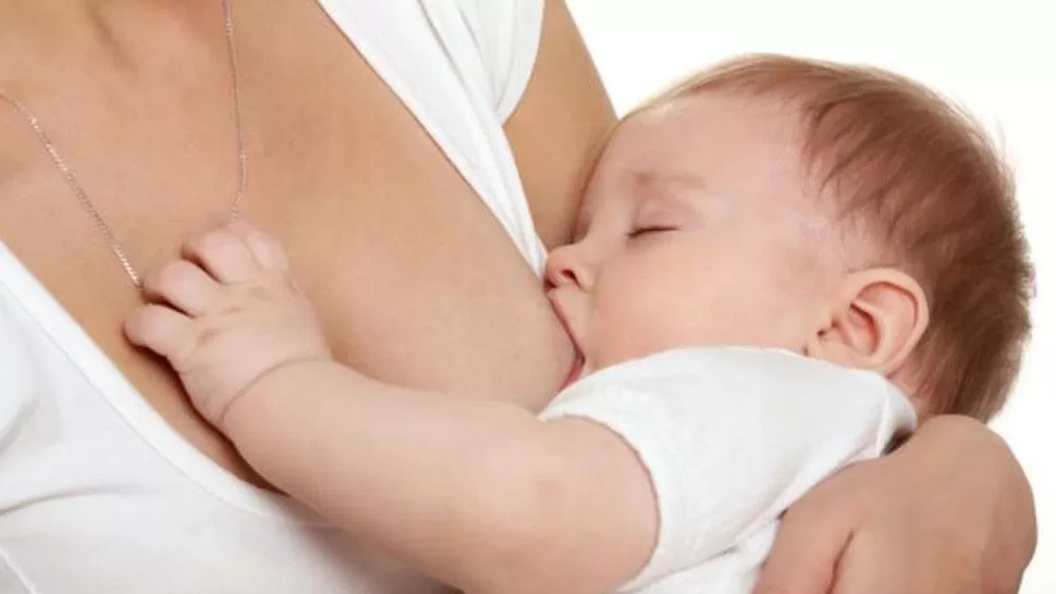 LACTANCIA MATERNA. La leche materna es fundamental para el desarrollo del sistema inmunológico del bebé. FOTO TOMADA DE DIARIOCHACO.COM