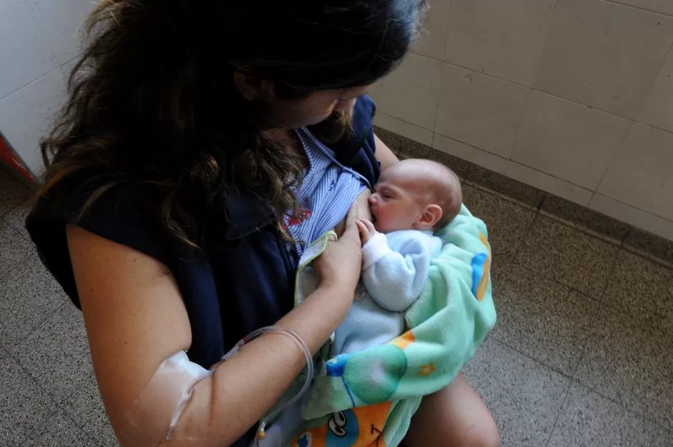 CON CUIDADO. Fátima Gallucci alimenta a su bebé recién nacido; en la Maternidad hay un consultorio de lactancia que asesora a las mamás. LA GACETA / FOTO DE FRANCO VERA.-