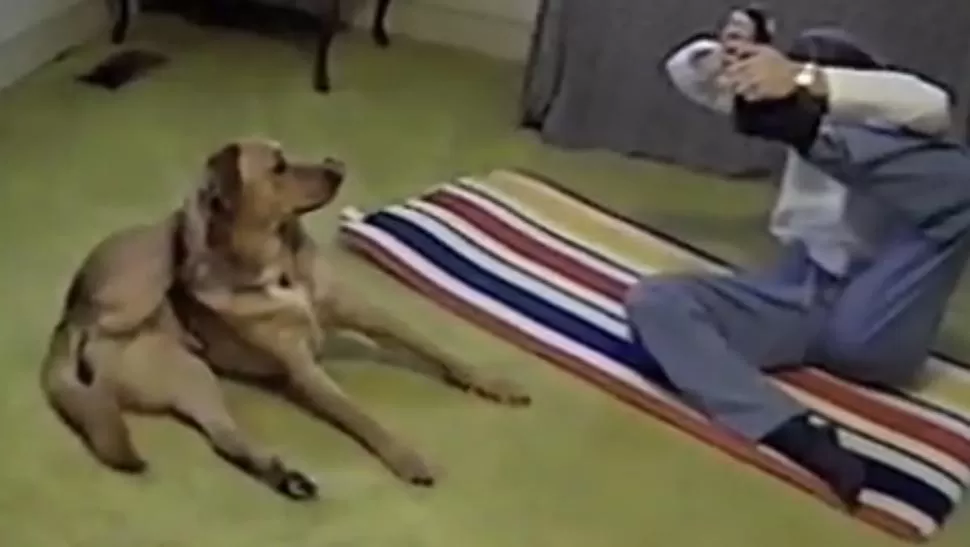 El perro y su dueña haciendo clases de yoga. FOTO CAPTURA DE VIDEO.