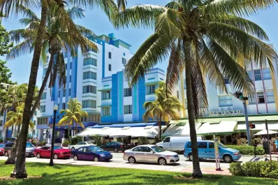 Temor por el zika: piden que las embarazadas no viajen a Miami