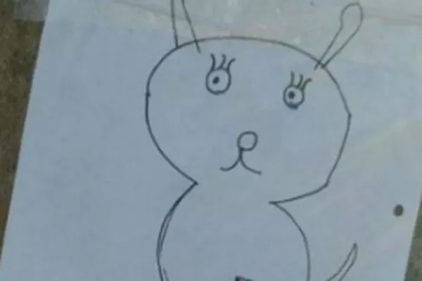 Dos niños dibujaron a su mascota perdida para buscarla