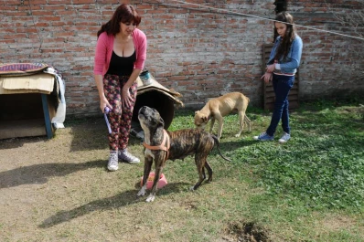 Allanaron una vivienda para salvar a dos perros desnutridos