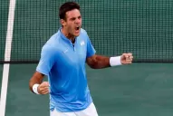Del Potro avanzó a la semifinal, donde se las verá con Nadal