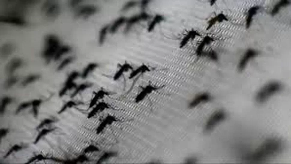 La epidemia de dengue es la peor de la historia
